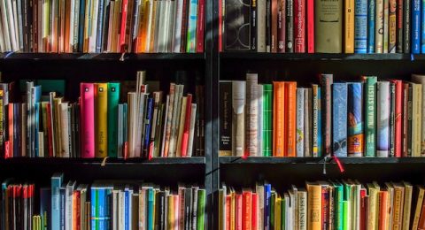 livros sobre investimentos para iniciantes