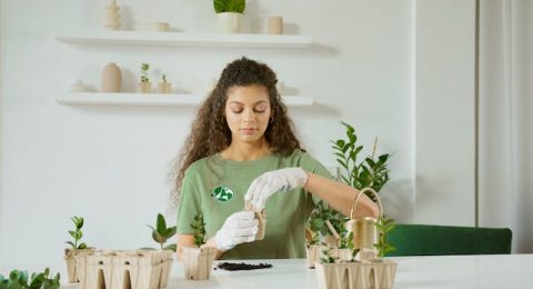 Quanto Tempo Dura o Curso de Agronomia