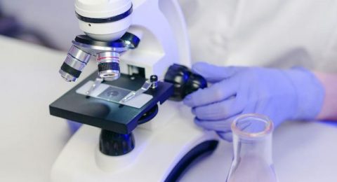 Quanto Tempo Dura o Curso de Auxiliar de Necropsia
