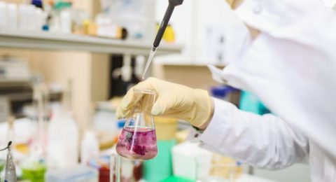 o que é curso de biomedicina