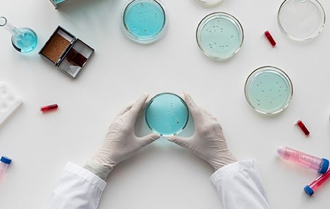 Capa do Curso de Microbiologia e Controle de Infecções