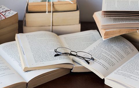 Capa do Curso de Teoria Literária