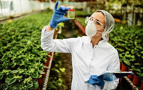Capa do Curso de Biotecnologia Industrial e Bioprodutos