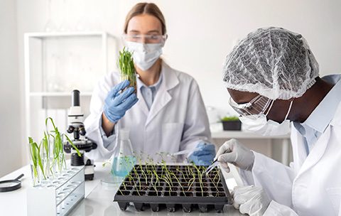 Capa do Curso de Desenvolvimento de Bioprocessos
