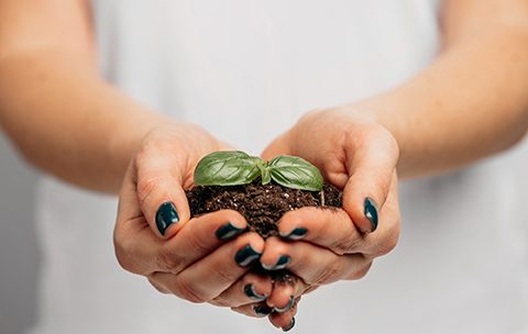 Capa do Curso de Ecologia Aplicada à Conservação