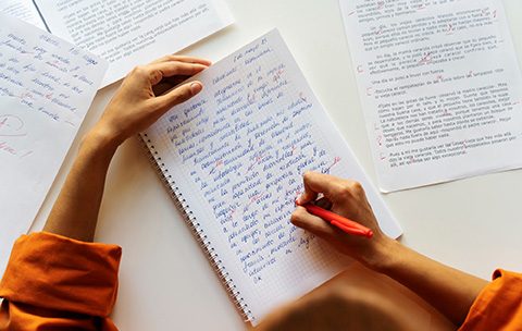 Capa do Curso de Linguística Textual