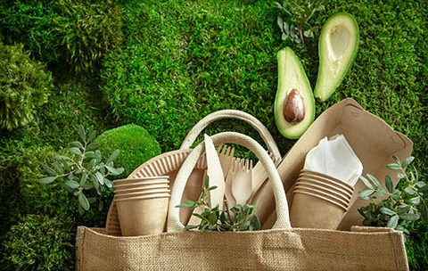 Capa do Curso de Restauração Ecológica