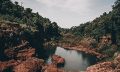 Capa do Curso de Ecologia de Paisagens