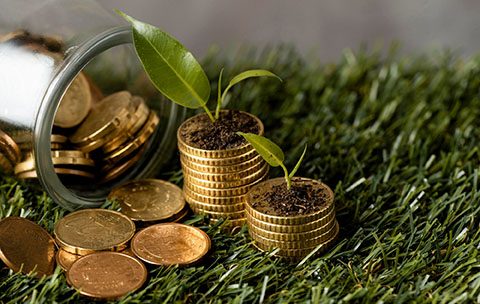 Capa do Curso de Economia e Administração Florestal