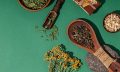 Capa do Curso de Fitoterapia e Plantas Medicinais