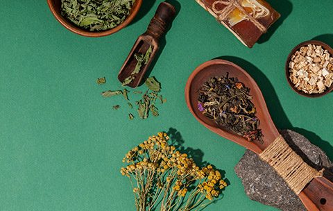 Capa do Curso de Fitoterapia e Plantas Medicinais