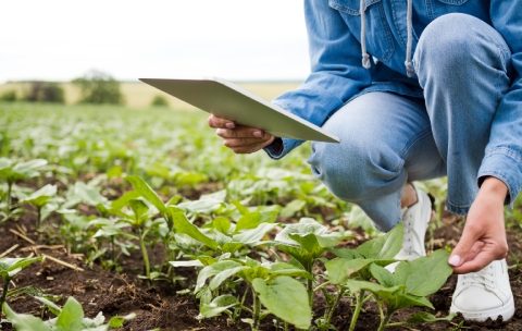 Curso-de-Agricultura-de-Precisão